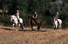 Portugal-Alto Alentejo-Alto Alentejo Riding Escape